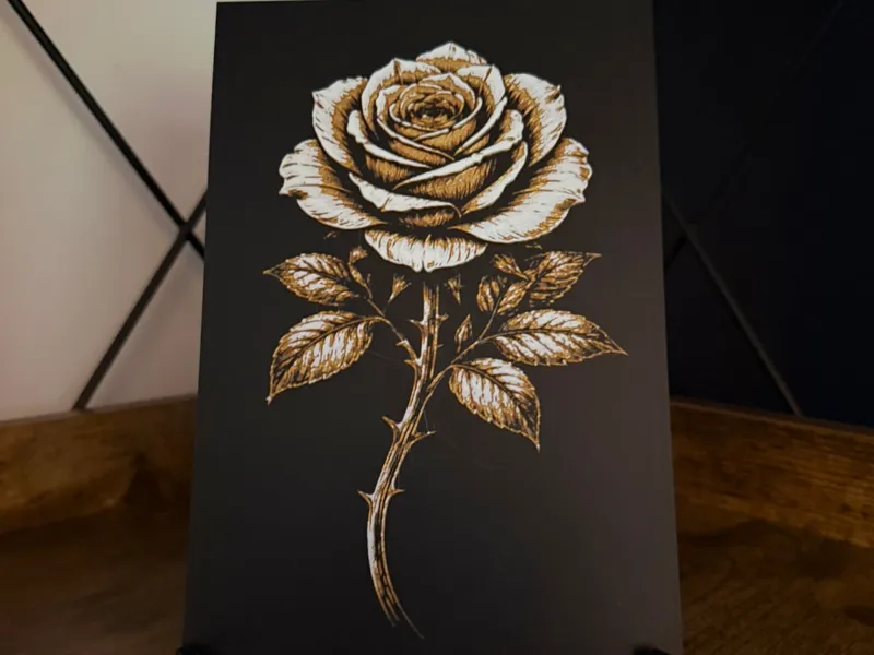 Rose