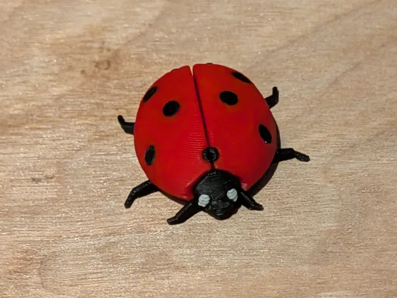 Realistic Ladybug