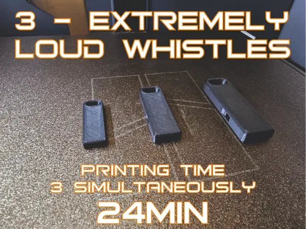 https://makerworld.bblmw.com/makerworld/model/US41e1e6c7f08707/design/2024-07-09_5e8f287ada753.jpg