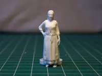 0.4mm nozzle, 0.08mm layer, 2 walls, 15% infill