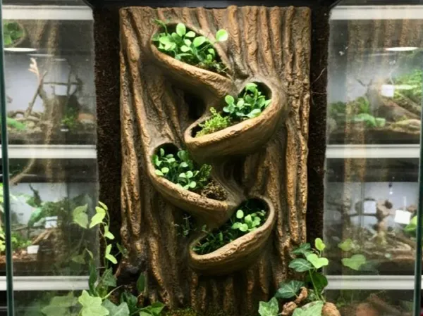 https://makerworld.bblmw.com/makerworld/model/US41ebc19c71b85/design/2025-11-18_35b531a5843458.jpg