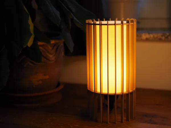 https://makerworld.bblmw.com/makerworld/model/US41ef3e458b9be2/design/2025-01-11_c45435865a9f2.jpg