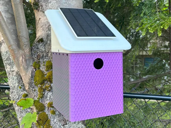 https://makerworld.bblmw.com/makerworld/model/US41f16460631e8c/design/2024-05-25_8c0cd3e732c8c.jpg