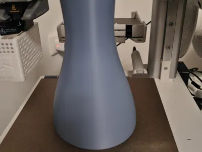Elegant Curved Vase Minimalist Design