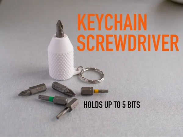 https://makerworld.bblmw.com/makerworld/model/US41f1f24712c520/design/2024-10-21_0a62ad93f59e.jpg