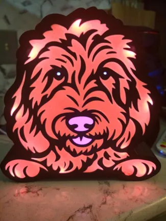 Golden Doodle Lightbox