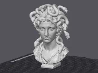 Medusa Bust/Statue