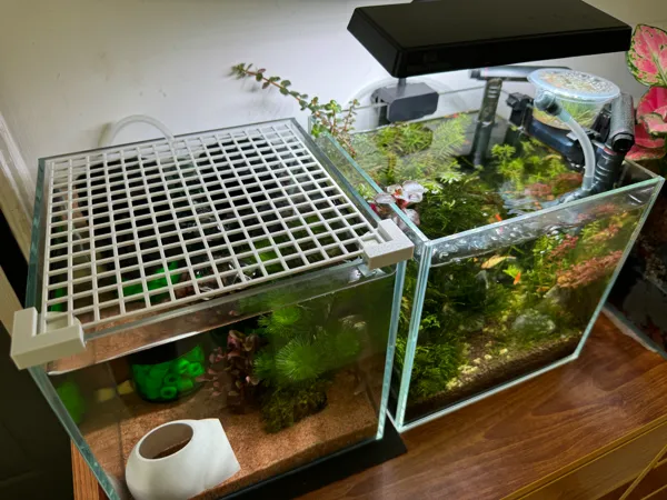 https://makerworld.bblmw.com/makerworld/model/US41f80a41723da9/design/2024-05-17_79bbddef8ed94.jpg