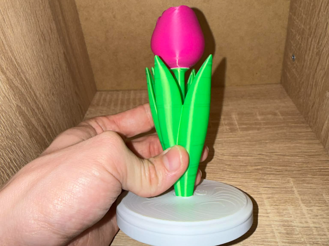 Elegant 3D Printed Tulip – Minimalist Decoration
