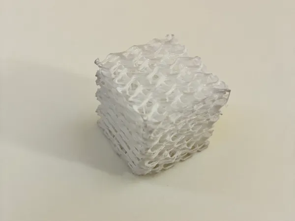 https://makerworld.bblmw.com/makerworld/model/US41f8ef376ba554/design/eda5a94cc0f7f683.jpeg