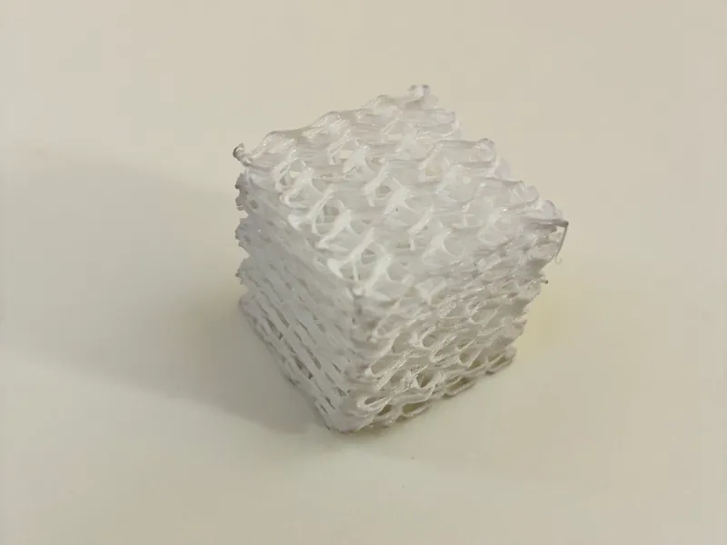 Squishy TPU Cube (Gyroid Infill)