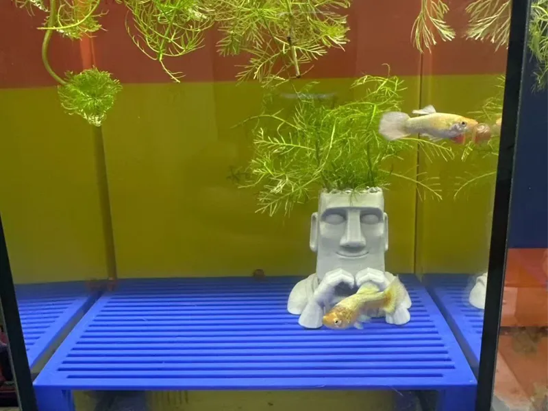 气动背滤