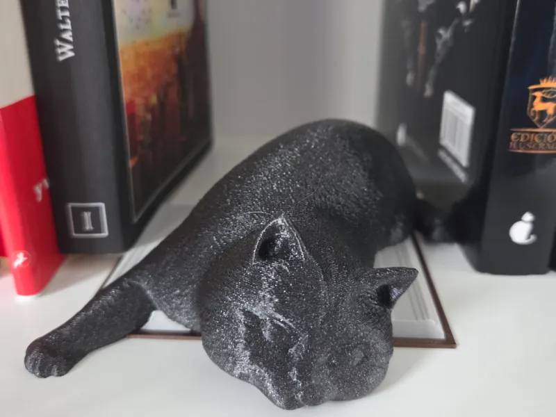 Cat nook book