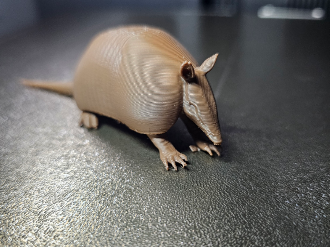 Armadillo Gürteltier - Tiere aus aller Welt