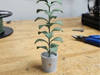 The Forever Houseplant