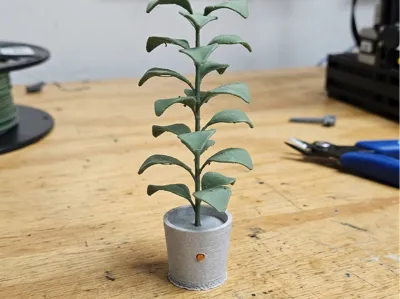 The Forever Houseplant