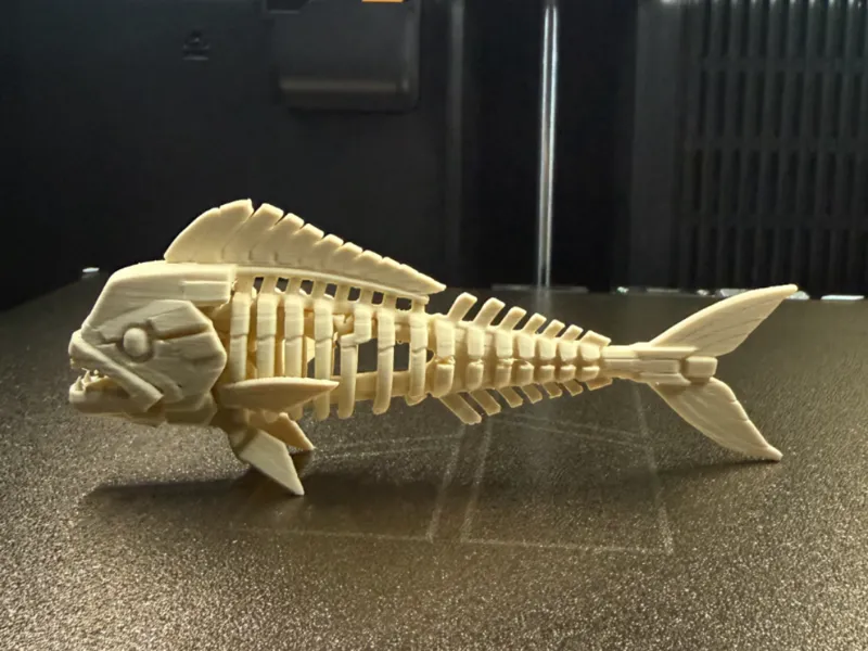 Mahi Mahi Skeleton