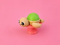 Turtle shell