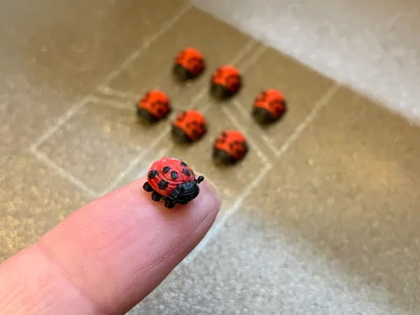 https://makerworld.bblmw.com/makerworld/model/US4208fc1aae65db/design/1fd6cc42ec69b62f.jpeg