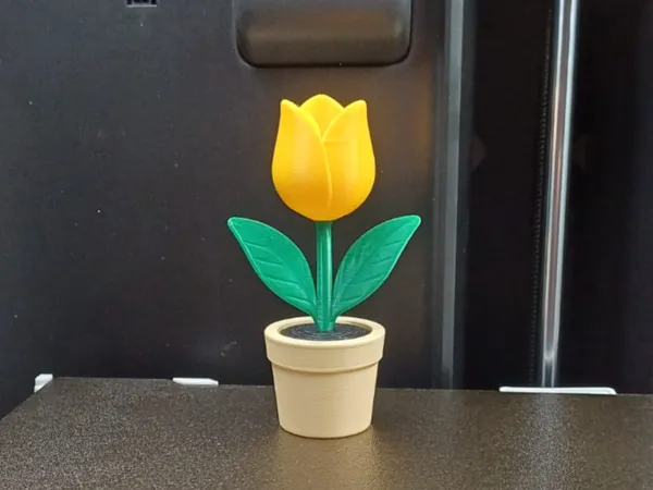 https://makerworld.bblmw.com/makerworld/model/US4209035aad0ffe/design/2025-12-15_b299a463aa62b8.jpg