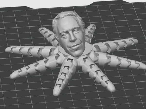 https://makerworld.bblmw.com/makerworld/model/US420fe9d33d5359/design/8815ceb70ca31b51.png