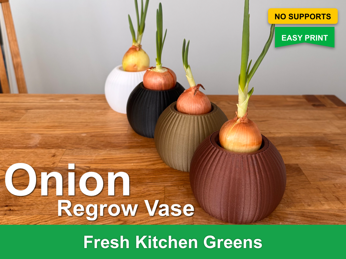 Hydroponic Onion Regrow Vase - No Supports - Easy 