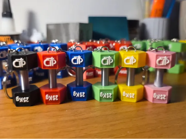 https://makerworld.bblmw.com/makerworld/model/US4218bf9a25482b/design/2025-12-18_d5d23800b1a818.jpg