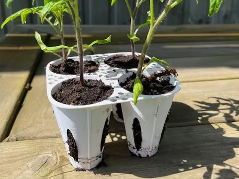 https://makerworld.bblmw.com/makerworld/model/US4218c5791cfddf/design/2025-05-11_767fb38b1870f.jpg