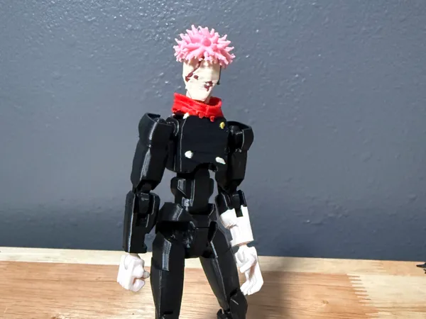 https://makerworld.bblmw.com/makerworld/model/US42191e9c69743/design/1a7c212449eb83d2.jpeg