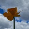Daffodil wind spinner