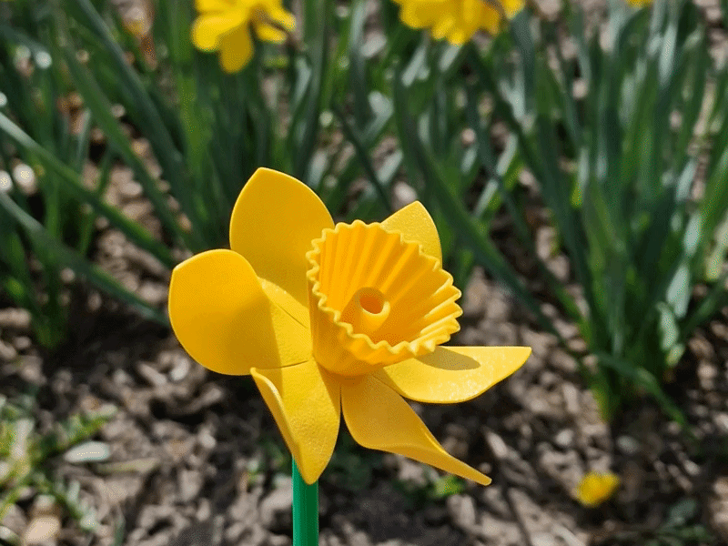 Daffodil wind spinner