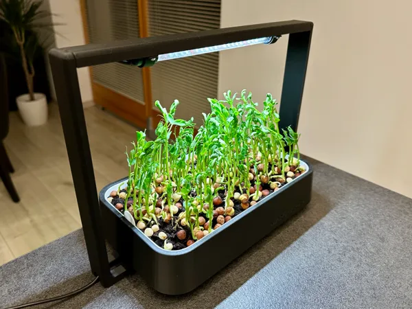 https://makerworld.bblmw.com/makerworld/model/US42201fa41134e7/design/2026-01-16_66c11fa569cbf8.jpeg
