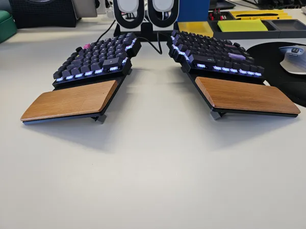 https://makerworld.bblmw.com/makerworld/model/US42206ded0e2c0a/design/2025-03-05_e937f2eae6491.jpg