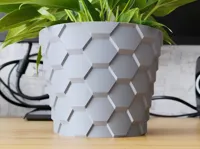 10cm - SASSy Vase mode - 0.16mm layer, 3 walls, 0% infill