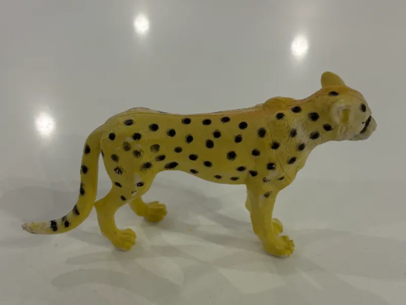 leopard