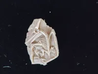 0.2mm 层高, 2 层墙, 10% 填充