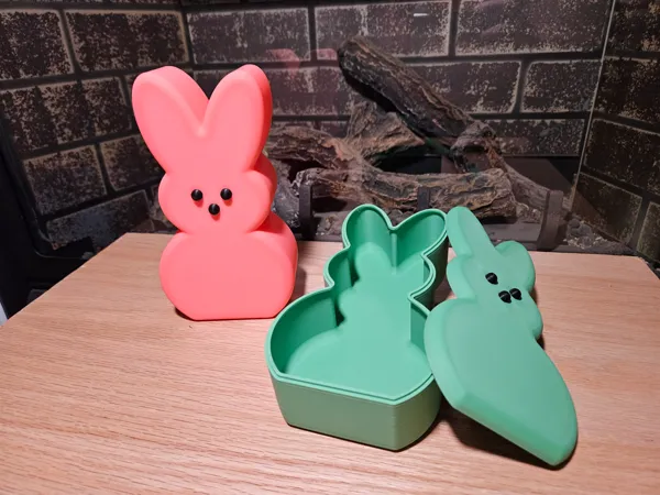 https://makerworld.bblmw.com/makerworld/model/US4228ecbf7e05c2/design/2024-03-07_158c4148d38c3.jpg
