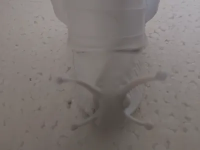 Ice Snail