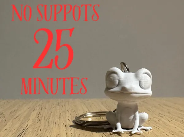 https://makerworld.bblmw.com/makerworld/model/US422b4eb018718f/design/2025-03-03_9b7f0f729f207.jpeg