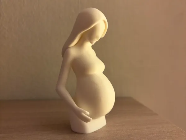 https://makerworld.bblmw.com/makerworld/model/US422efb2ba76102/design/2025-09-12_6c15dd9747f7c.jpeg