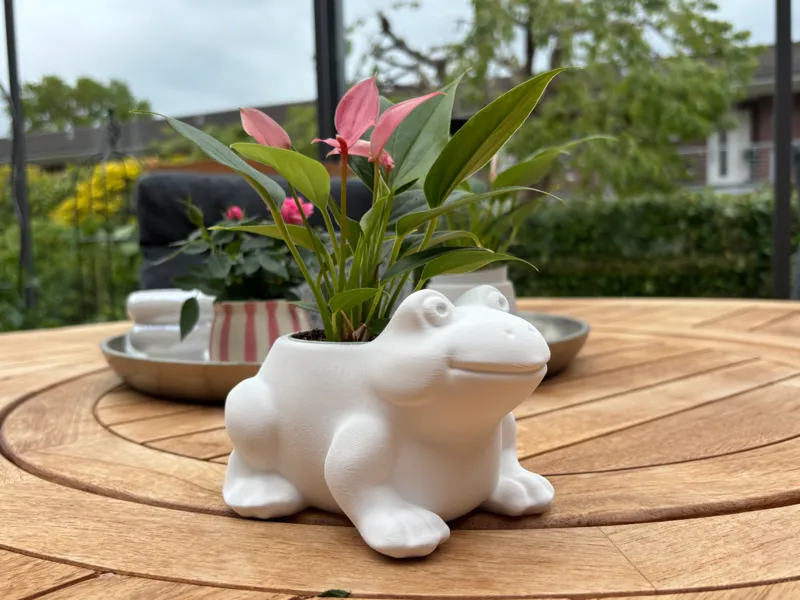 Frog Planter