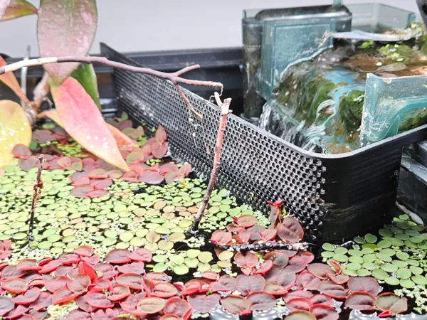 https://makerworld.bblmw.com/makerworld/model/US42312d87468d97/design/2024-07-20_34b3ecc1093f9.jpg