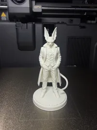 0.16mm layer, 2 walls, 15% infill