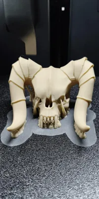 Crâne de Death Claw — photo 4