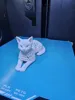 Voronoi Cat lying