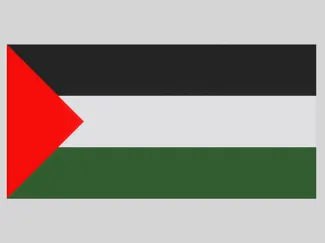 Flag of Palestine 巴勒斯坦国旗