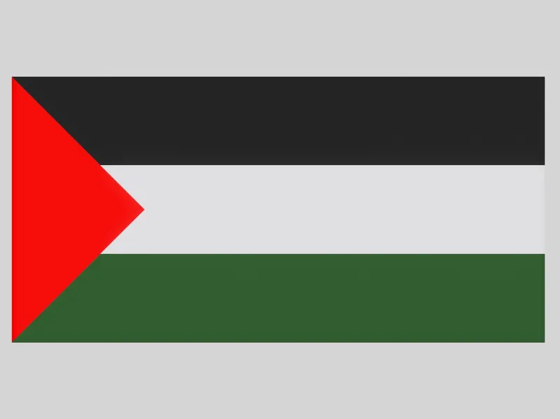 Flag of Palestine 巴勒斯坦国旗