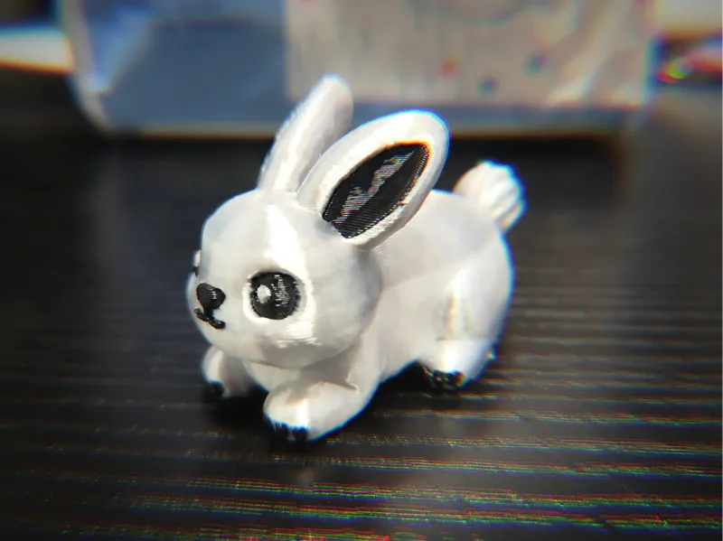 小兔子