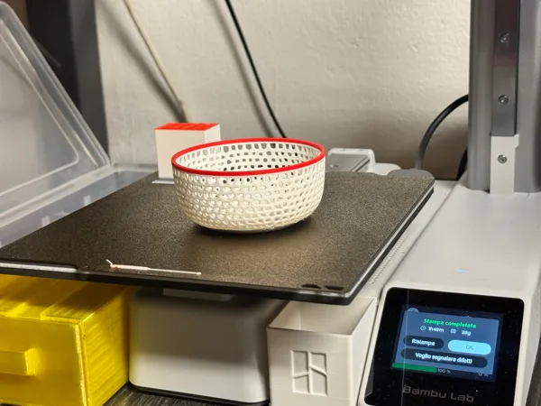 https://makerworld.bblmw.com/makerworld/model/US424a525199d20c/design/2024-02-24_0d637490305c7.jpg
