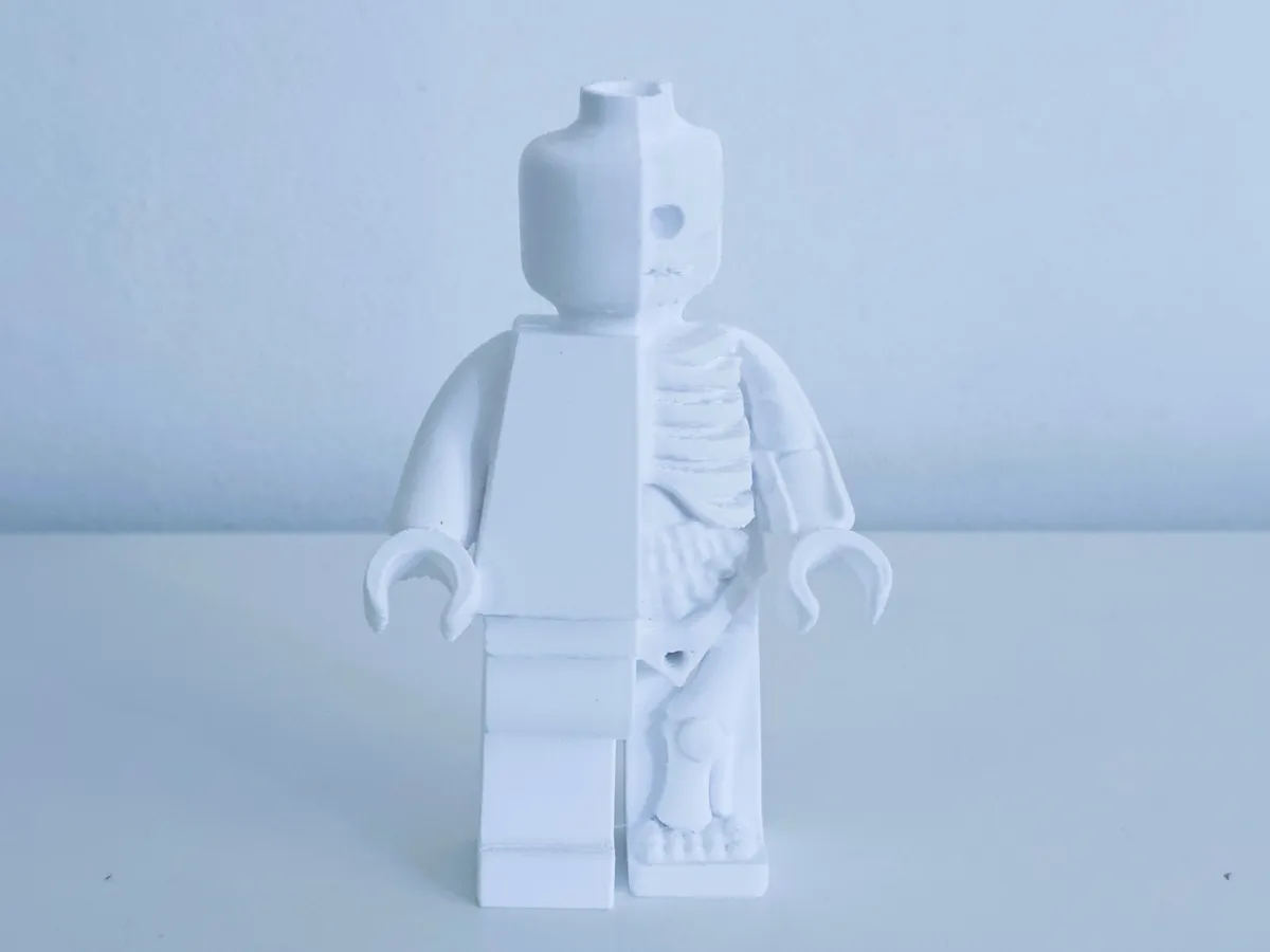 Brick toy anatomy figure - Free 3D Print Model - MakerWorld